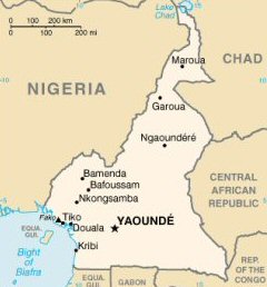 Le Cameroun et le Nigeria reste "champions d'Afrique" de la corruption