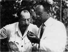 Kwame Nkrumah examinant un plan de cacao lors d'une inspection
