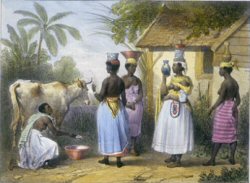 Esclaves productrices et vendeuses de lait. Surinam.1839
