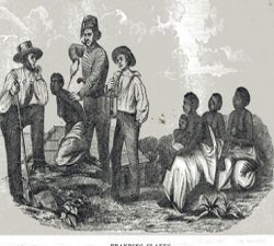 Femmes esclaves rcemment dportes dAfrique et marque au fer. 19ime sicle