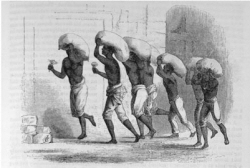 Groupe desclaves porteurs de caf, Brsil, 1853