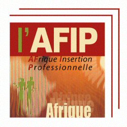 Afrique Insertion