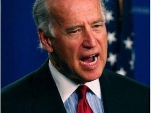 Le vice-prsident amricain Joe Biden a qualifi Assange de ''terroriste high tech''