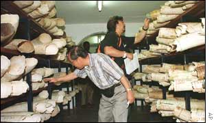 Les pays d'Afrique australe disposent de gros stocks d'ivoire