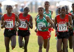 Kenenisa Bekele entour d'une "armada" kenyane